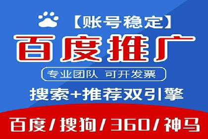 成功案例分享：SEM推广策略的制定与执行